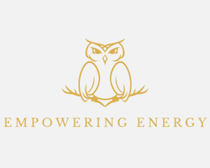 Owl Animal Monoline logo design