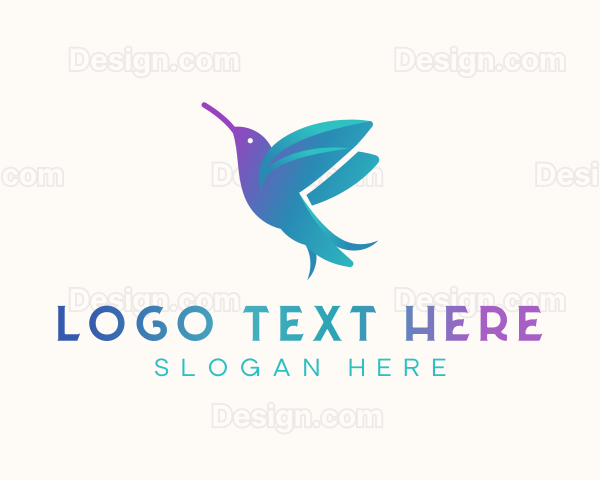 Hummingbird Avian Creative Logo