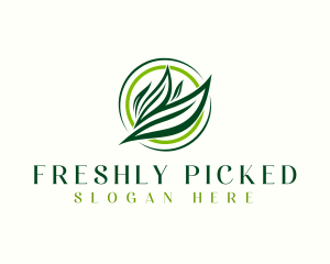 Plant Leaf Garden logo design