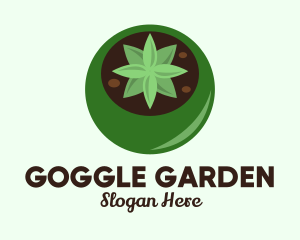 Potted Succulent Cactus  logo design