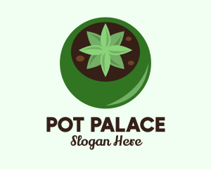 Potted Succulent Cactus  logo design