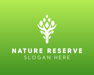 Natural Tree Plant logo design