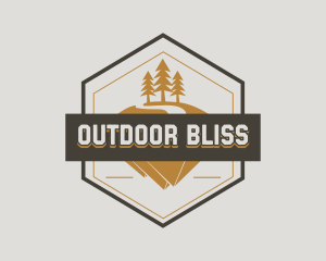 Pine Tree Nature Camp logo design