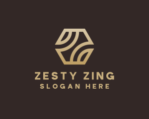 Professional Agency Letter Z logo design