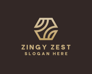 Professional Agency Letter Z logo design