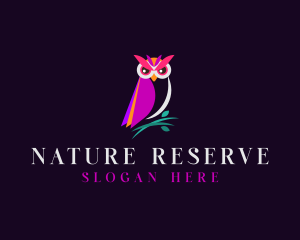 Nature Night Owl logo design