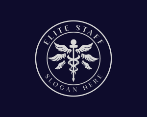 Caduceus Staff Wings Hospital logo