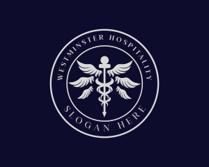 Caduceus Staff Wings Hospital logo design