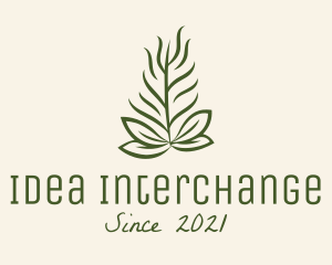 Botanical Plant Garden logo design