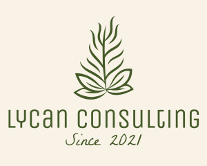 Botanical Plant Garden logo design