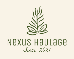 Botanical Plant Garden logo design