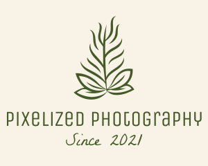 Botanical Plant Garden logo design