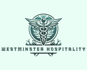 Caduceus Herbal Medicine logo design