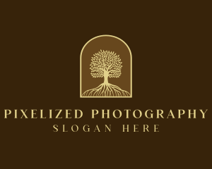 Tree Roots Plant logo design