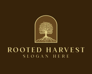 Tree Roots Plant logo design