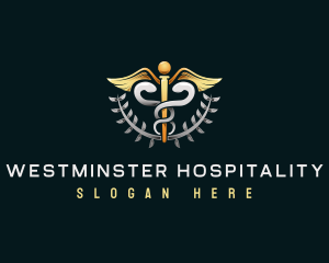 Health Medicine Caduceus logo design