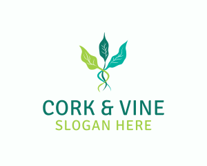 Leaf Sprout Vine logo design