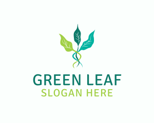 Leaf Sprout Vine logo