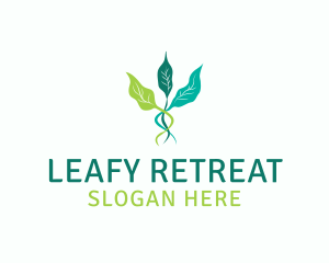 Leaf Sprout Vine logo design