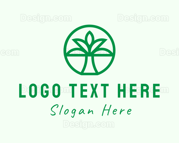 Palm Tree Forest Logo