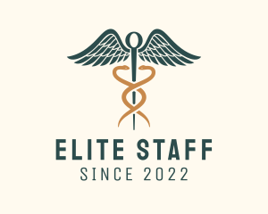 Healthcare Caduceus Staff logo