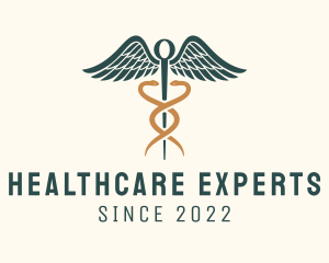 Healthcare Caduceus Staff logo