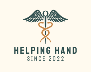 Healthcare Caduceus Staff logo design