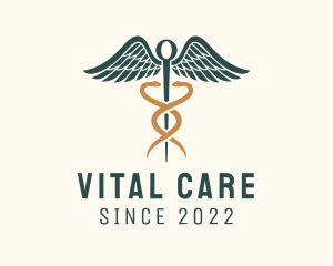 Healthcare Caduceus Staff logo