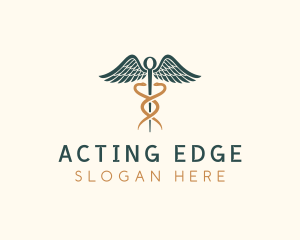 Healthcare Caduceus Staff logo design