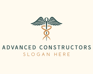 Healthcare Caduceus Staff logo design