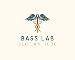 Healthcare Caduceus Staff logo design