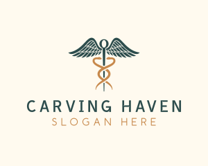 Healthcare Caduceus Staff logo design