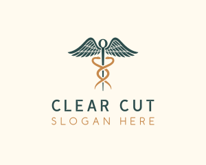 Healthcare Caduceus Staff logo design