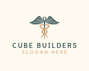 Healthcare Caduceus Staff logo design