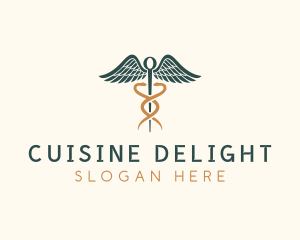 Healthcare Caduceus Staff logo design