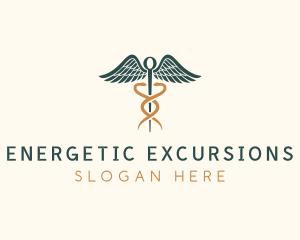 Healthcare Caduceus Staff logo design