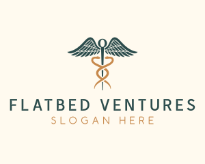 Healthcare Caduceus Staff logo design