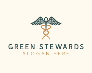 Healthcare Caduceus Staff logo design