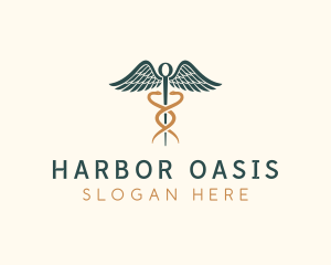 Healthcare Caduceus Staff logo design