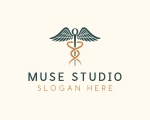 Healthcare Caduceus Staff logo design