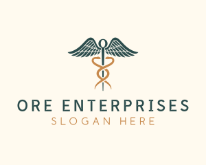 Healthcare Caduceus Staff logo design