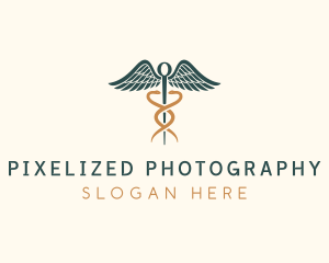 Healthcare Caduceus Staff logo design