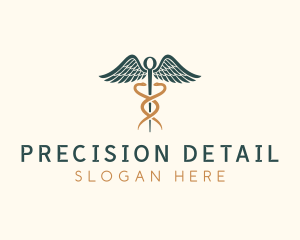 Healthcare Caduceus Staff logo design