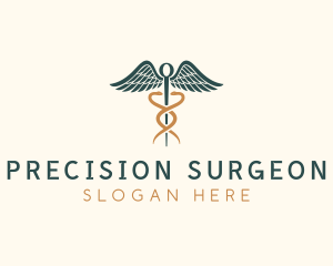 Healthcare Caduceus Staff logo design