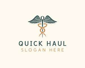 Healthcare Caduceus Staff logo design