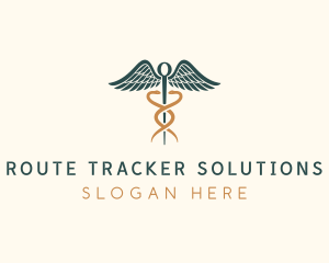 Healthcare Caduceus Staff logo design