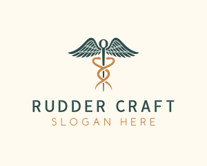 Healthcare Caduceus Staff logo design