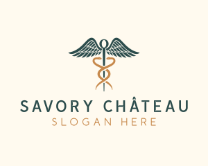 Healthcare Caduceus Staff logo design