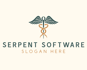 Healthcare Caduceus Staff logo design