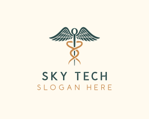 Healthcare Caduceus Staff logo design